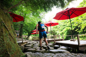 Fernanda MOTA FARHAT - Her Trail results and UTMB® Index